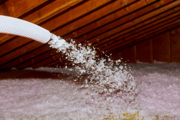 Best Commercial Insulation in Imlay City, MI