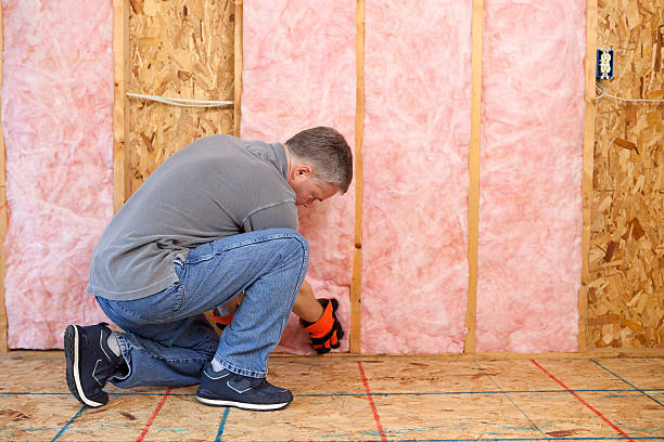 Best Types of Insulation in Imlay City, MI